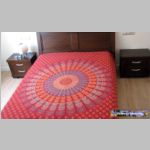 CC 40 CUBRE CAMA-SOFA.JPG